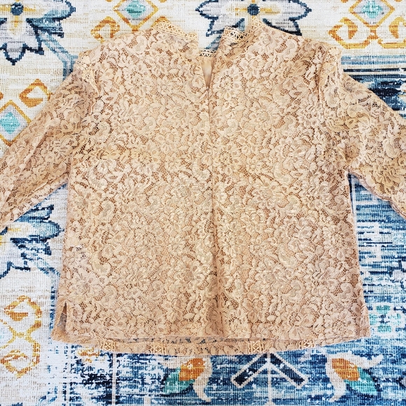 Zara lace top - nwot - Picture 4 of 6